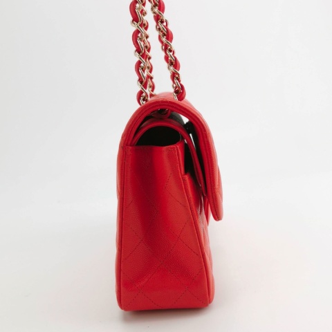 Chanel Classic Flap Small limited edition color