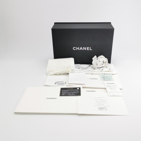 Chanel Classic Flap Small limited edition color