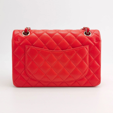 Chanel Classic Flap Small limited edition color