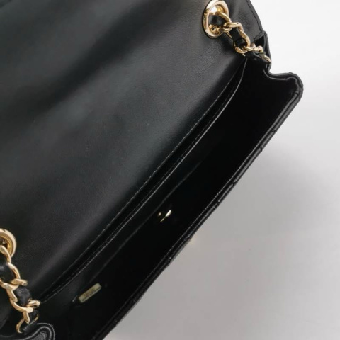 Chanel Flap Bag Limited Edition