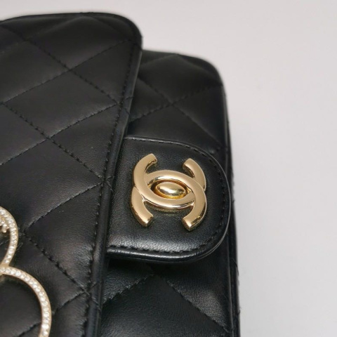 Chanel Flap Bag Limited Edition