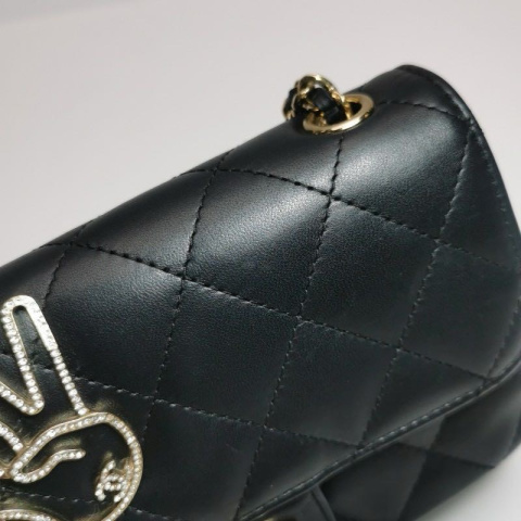 Chanel Flap Bag Limited Edition